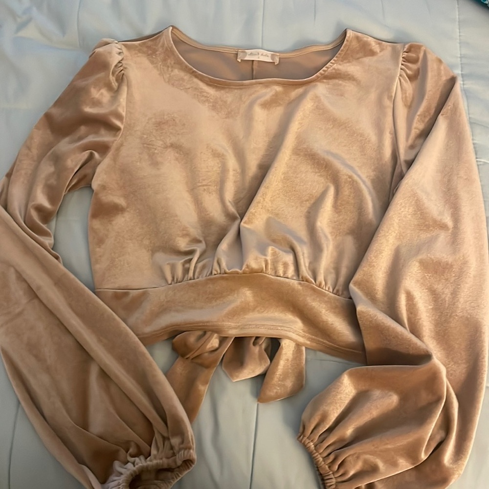 Altard state velvet crop top. Size small.